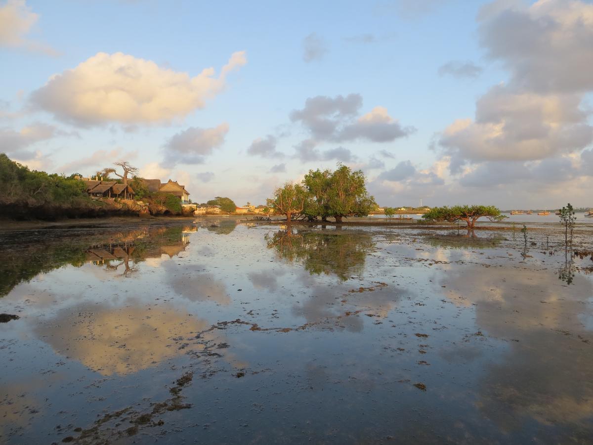 Wasini Island Bandas Eksteriør bilde
