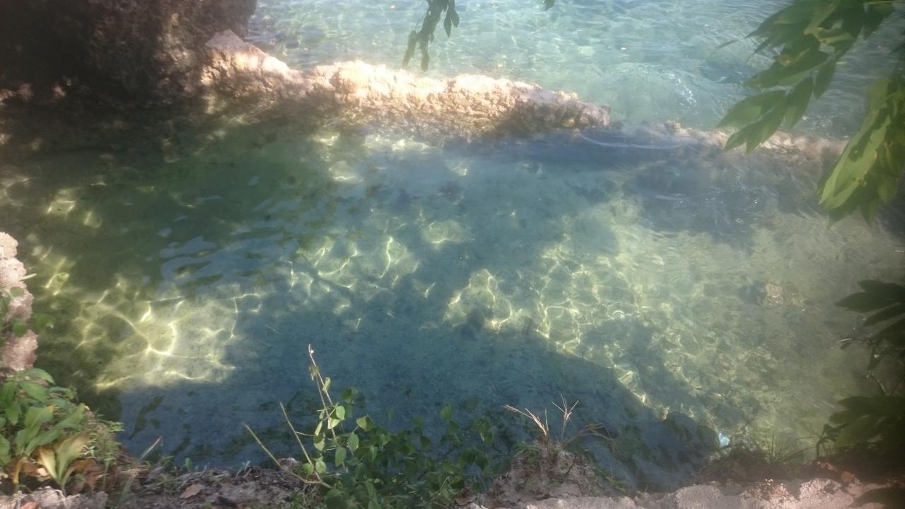 Wasini Island Bandas Eksteriør bilde